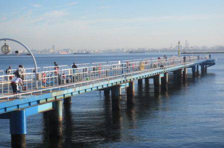 オリジナルメーカー海づり公園(市原市海づり施設) 釣果