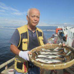 尼崎市立魚つり公園 釣果