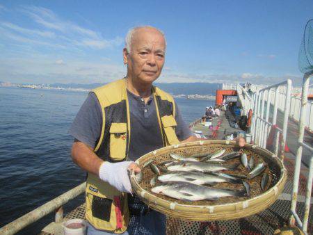 尼崎市立魚つり公園 釣果