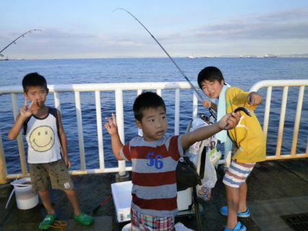 大阪南港海つり公園 釣果