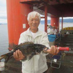 尼崎市立魚つり公園 釣果