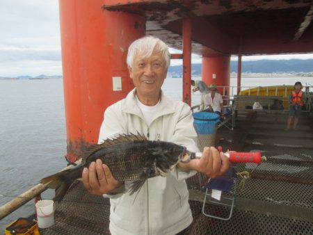 尼崎市立魚つり公園 釣果