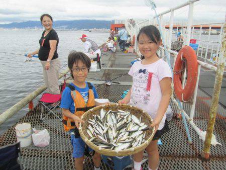 尼崎市立魚つり公園 釣果