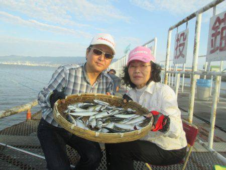 尼崎市立魚つり公園 釣果