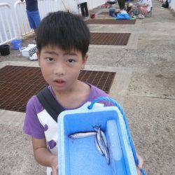 大阪南港海つり公園 釣果