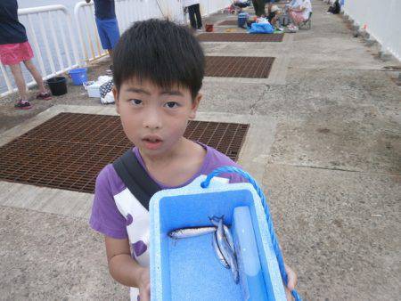 大阪南港海つり公園 釣果