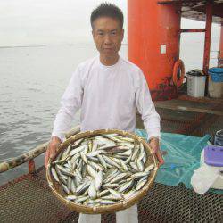 尼崎市立魚つり公園 釣果