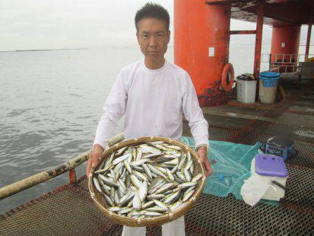 尼崎市立魚つり公園 釣果
