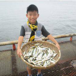 尼崎市立魚つり公園 釣果