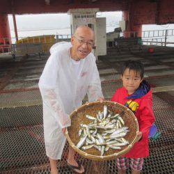 尼崎市立魚つり公園 釣果
