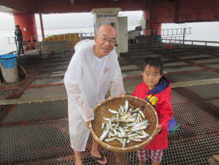 尼崎市立魚つり公園 釣果