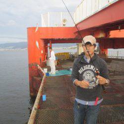 尼崎市立魚つり公園 釣果