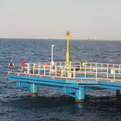 オリジナルメーカー海づり公園(市原市海づり施設) 釣果