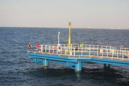 オリジナルメーカー海づり公園(市原市海づり施設) 釣果