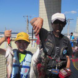 オリジナルメーカー海づり公園(市原市海づり施設) 釣果