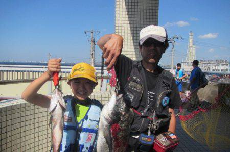 オリジナルメーカー海づり公園(市原市海づり施設) 釣果