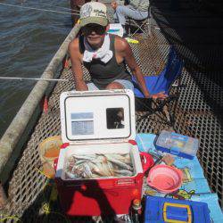 尼崎市立魚つり公園 釣果