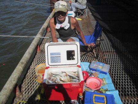 尼崎市立魚つり公園 釣果