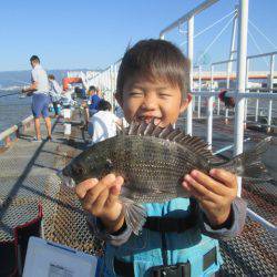 尼崎市立魚つり公園 釣果