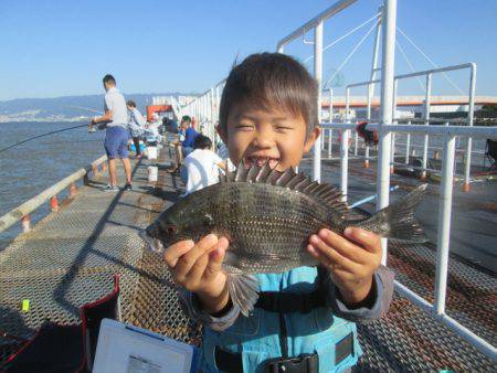 尼崎市立魚つり公園 釣果