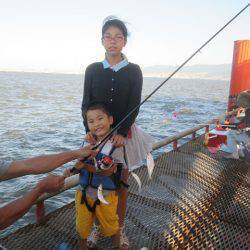 尼崎市立魚つり公園 釣果