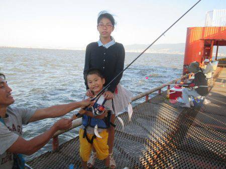 尼崎市立魚つり公園 釣果