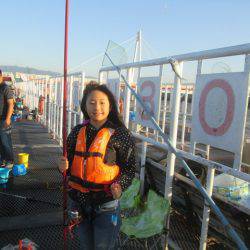 尼崎市立魚つり公園 釣果