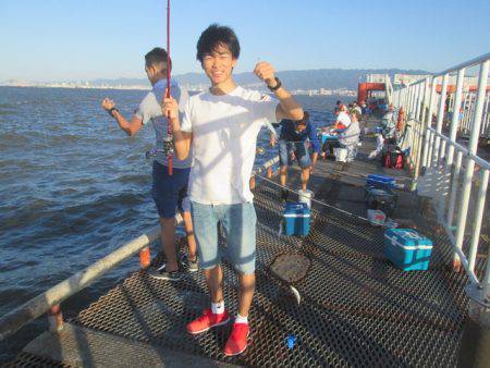 尼崎市立魚つり公園 釣果