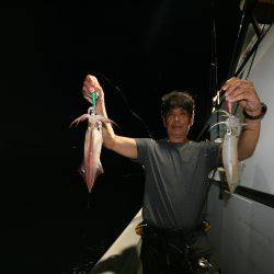 オーシャンズ　京都 釣果