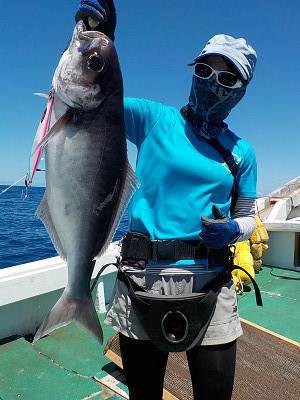 明日丸 釣果