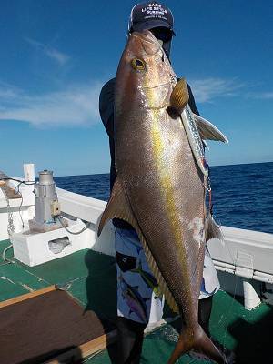 明日丸 釣果