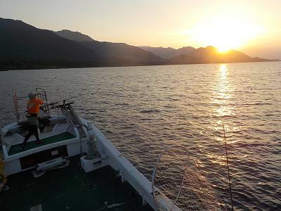 明日丸 釣果