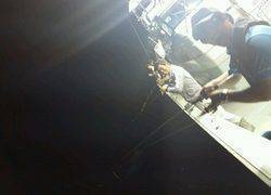 ディープ オーシャン 釣果