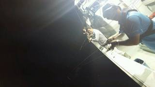 ディープ オーシャン 釣果