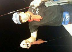 ディープ オーシャン 釣果