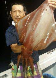 ディープ オーシャン 釣果