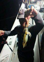 ディープ オーシャン 釣果