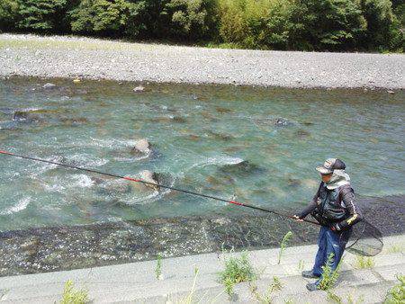 安倍川・藁科川（安倍藁科川漁業協同組合） …