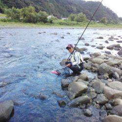 安倍川・藁科川(安倍藁科川漁業協同組合) 釣果