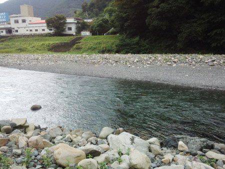 安倍川・藁科川(安倍藁科川漁業協同組合) 釣果