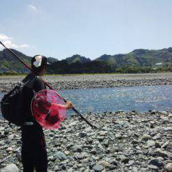 安倍川・藁科川(安倍藁科川漁業協同組合) 釣果