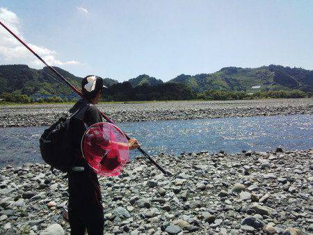 安倍川・藁科川(安倍藁科川漁業協同組合) 釣果
