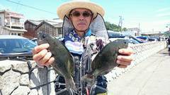 まこと渡船 釣果