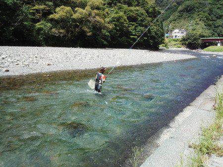 安倍川・藁科川(安倍藁科川漁業協同組合) 釣果