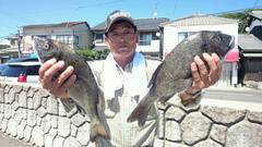 まこと渡船 釣果