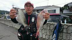 まこと渡船 釣果