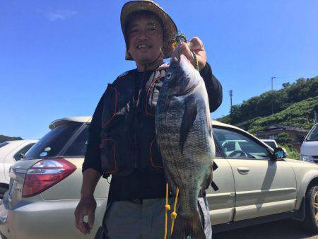 由良渡船 釣果