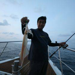 オーシャンズ　京都 釣果