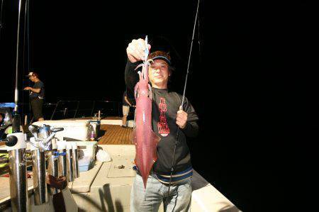 オーシャンズ　京都 釣果