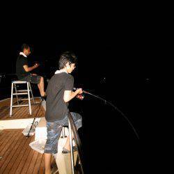 オーシャンズ 京都 釣果